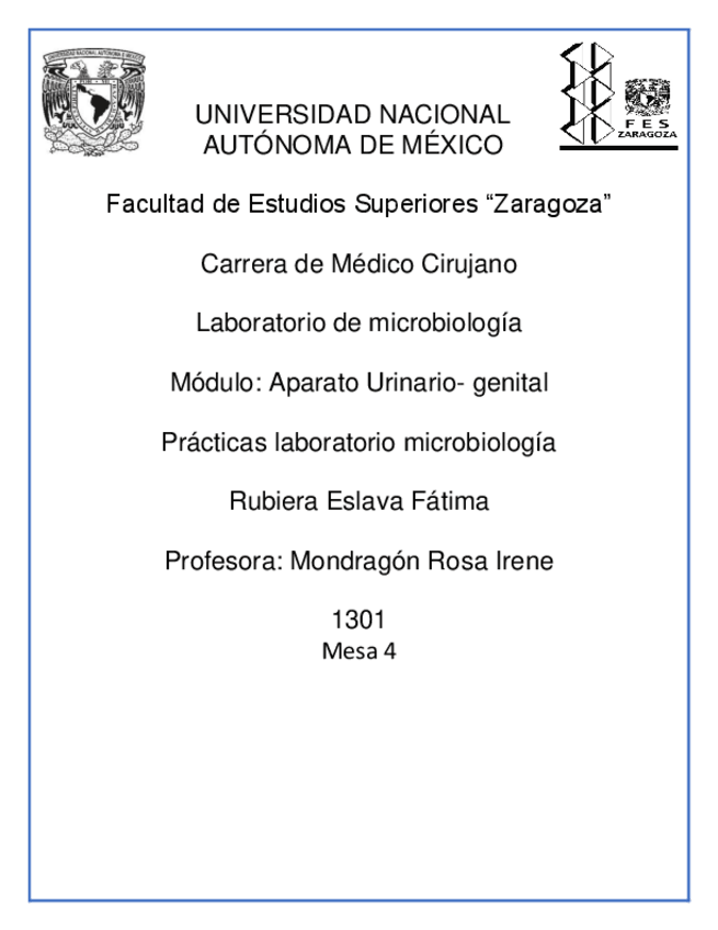 Miniatura del documento Cuestionarios-de-practicas-aparato-urinario-y-genital.-Rubiera-Eslava-Fatima-1301..pdf