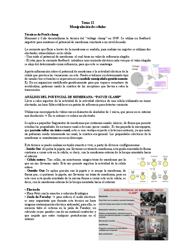 Miniatura del documento TEMA-12-TC.pdf