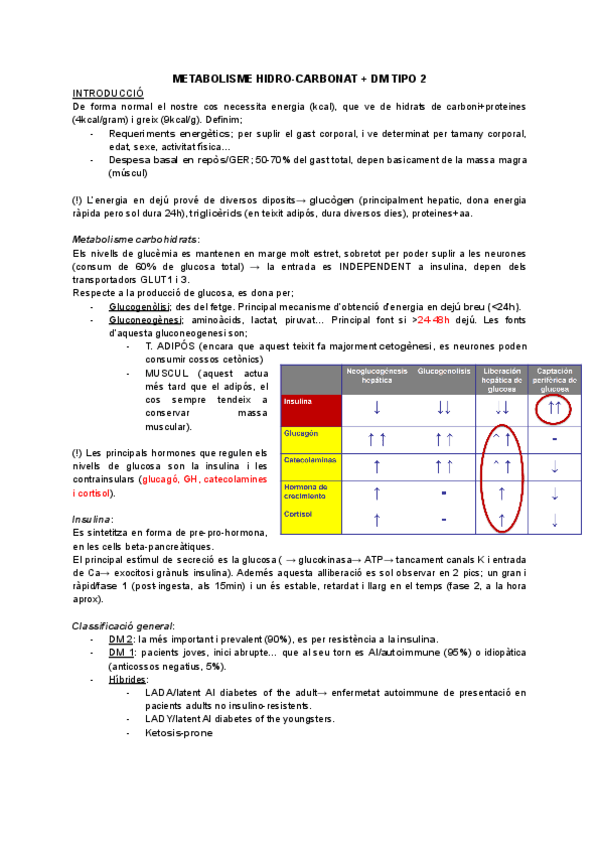 Miniatura del documento DIABETES-resum.pdf