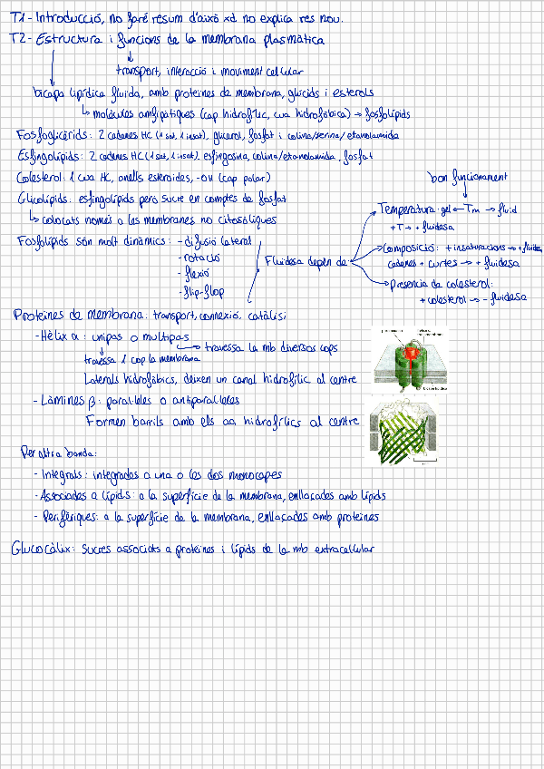 Miniatura del documento resums-biocel.pdf
