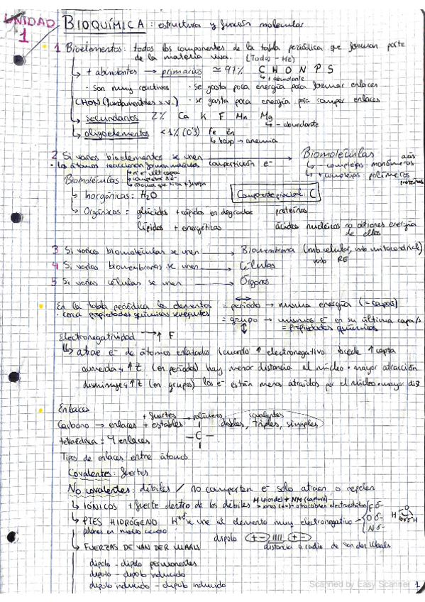 Miniatura del documento tema-1.pdf