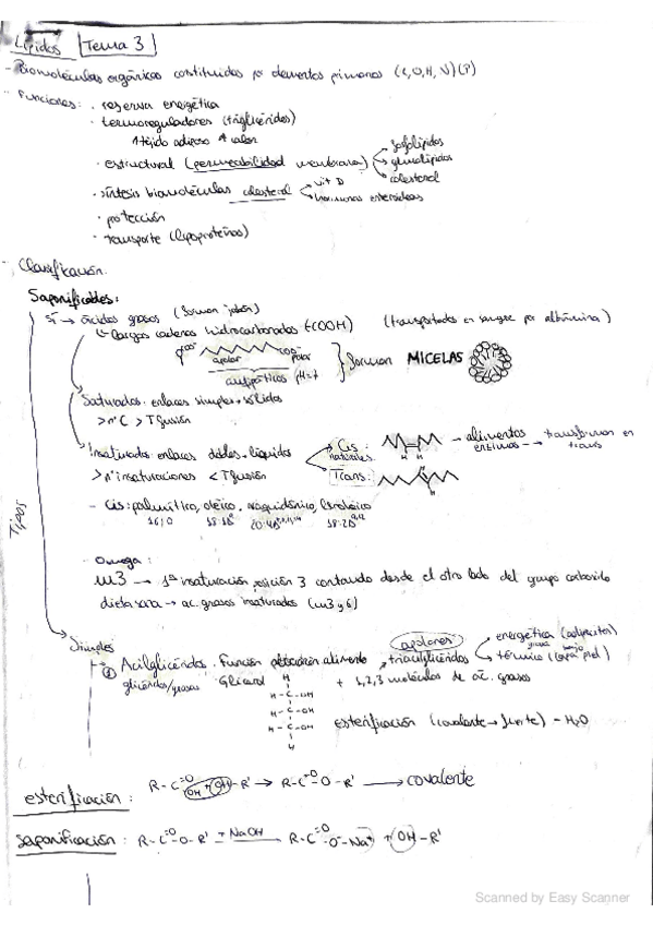 Miniatura del documento tema-3.pdf