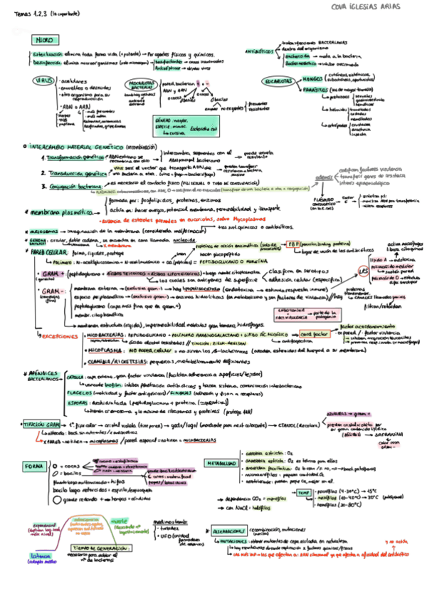 Miniatura del documento Tema-1-7-...-Micro-Resumen.pdf
