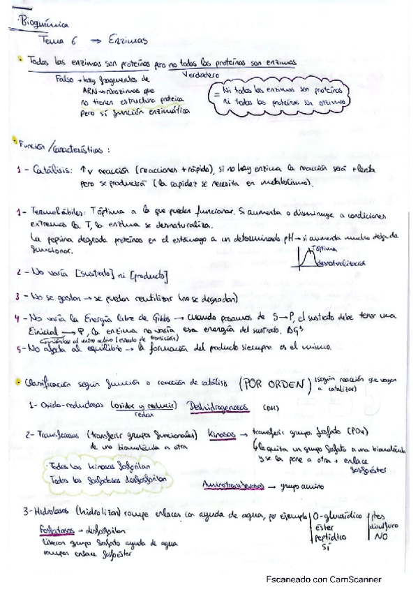 Miniatura del documento tema-6.pdf