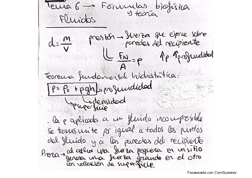 Miniatura del documento tema-6.pdf