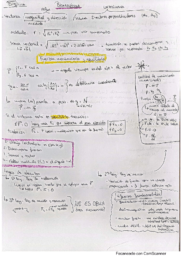 Miniatura del documento temas-y-ejercicios.pdf
