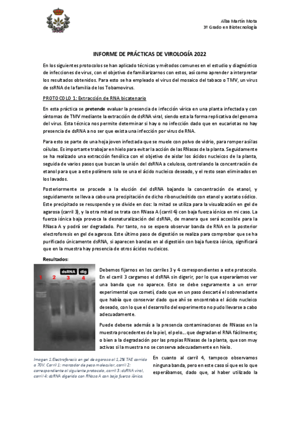 Miniatura del documento Practica-virologia-2022.pdf