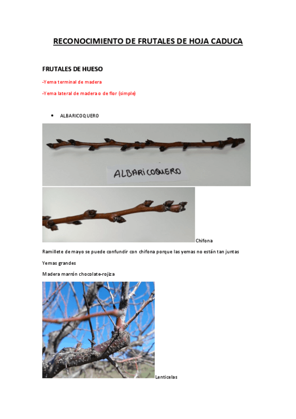 Miniatura del documento Reconocimiento-frutales-hoja-caduca.pdf