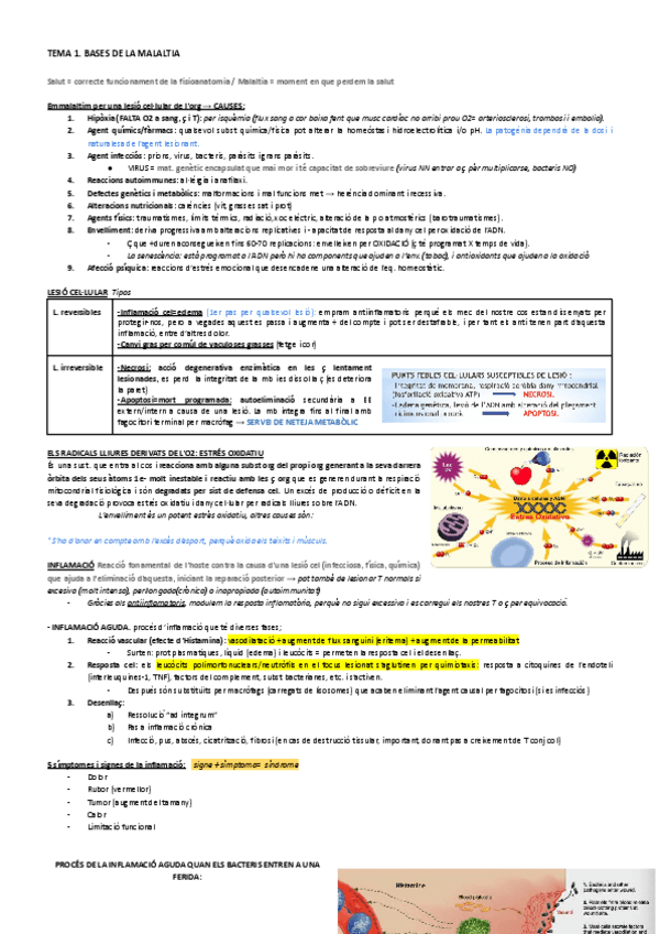 Miniatura del documento TEMA-1.pdf