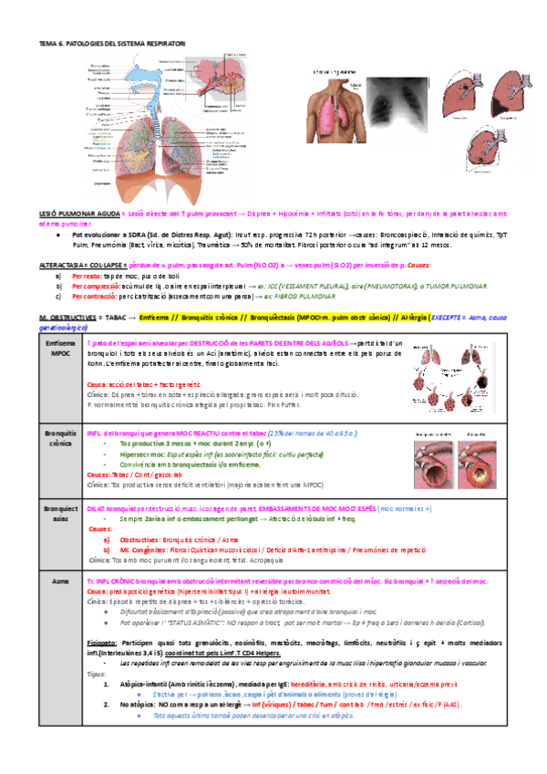 Miniatura del documento TEMA-6.pdf