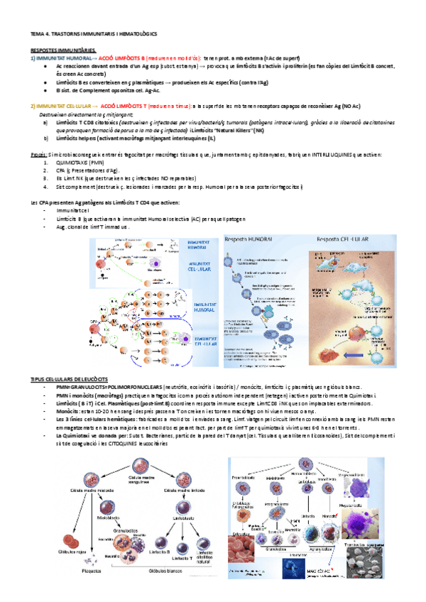 Miniatura del documento TEMA-4.pdf