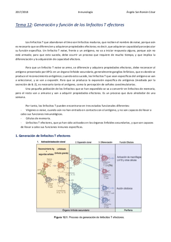 Miniatura del documento 12. Generación y función de los linfocitos T efectores .pdf