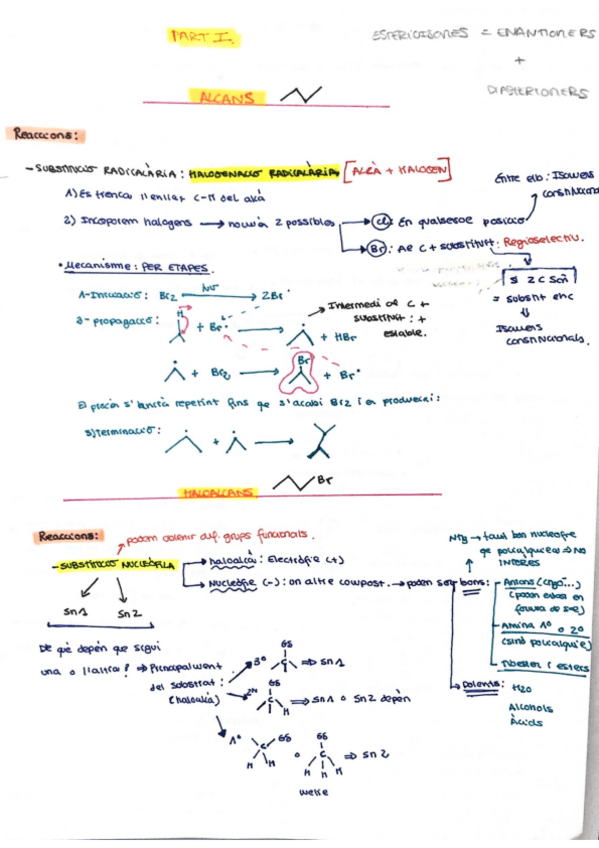 Miniatura del documento Resum complet totes les reaccions- final.pdf
