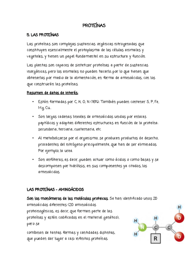 Miniatura del documento RESUMEN-Clase-27.Proteinas.pptx.pdf