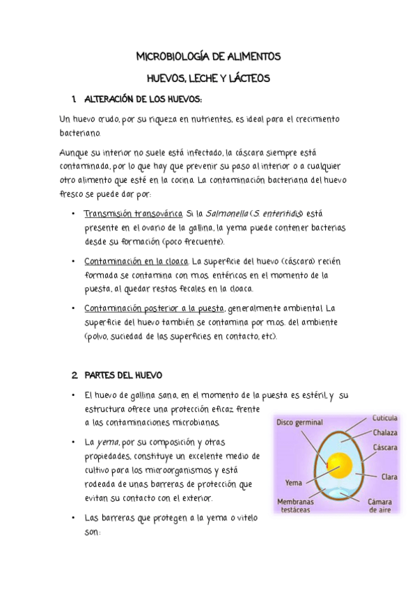 Miniatura del documento RESUMEN-Clase-55.Microbiologia-en-alimentos-2.pdf