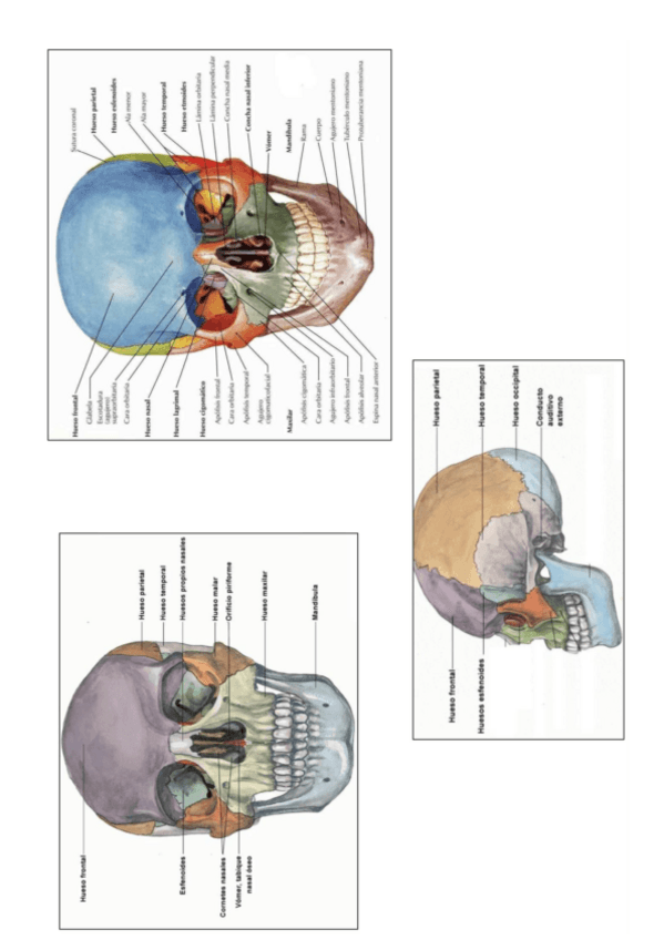 Miniatura del documento Anexo3.2.pdf