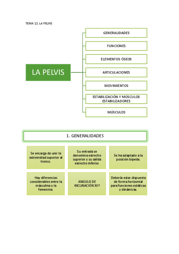 Miniatura del documento TRABAJO T12. LA PELVIS.pdf