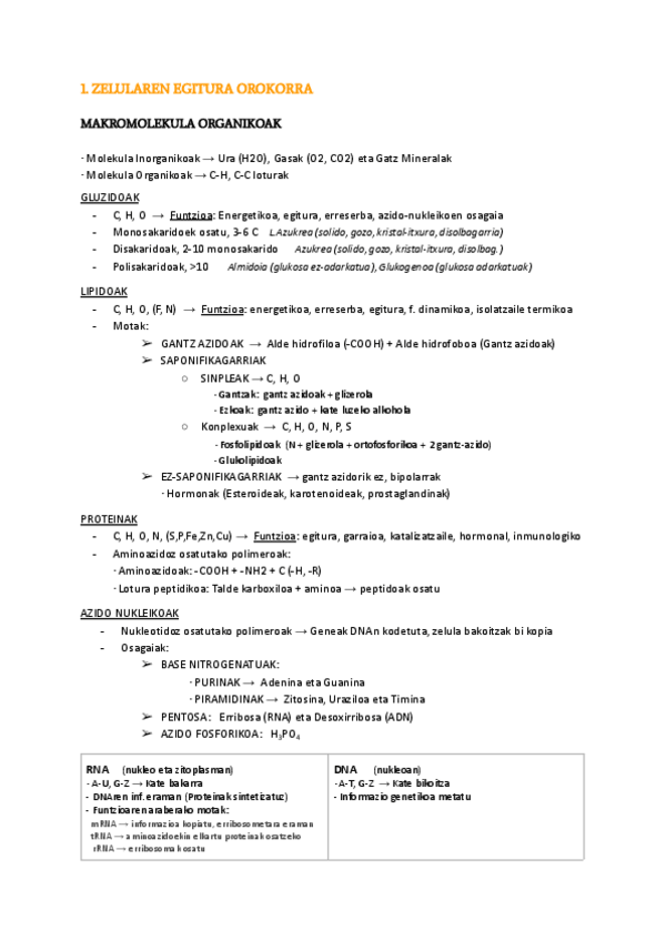 Miniatura del documento NEURO-1.-GAIA.pdf