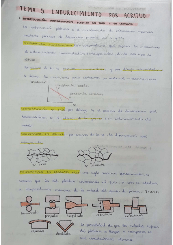 Miniatura del documento RESUMEN-TEMA5CIENCIA.pdf