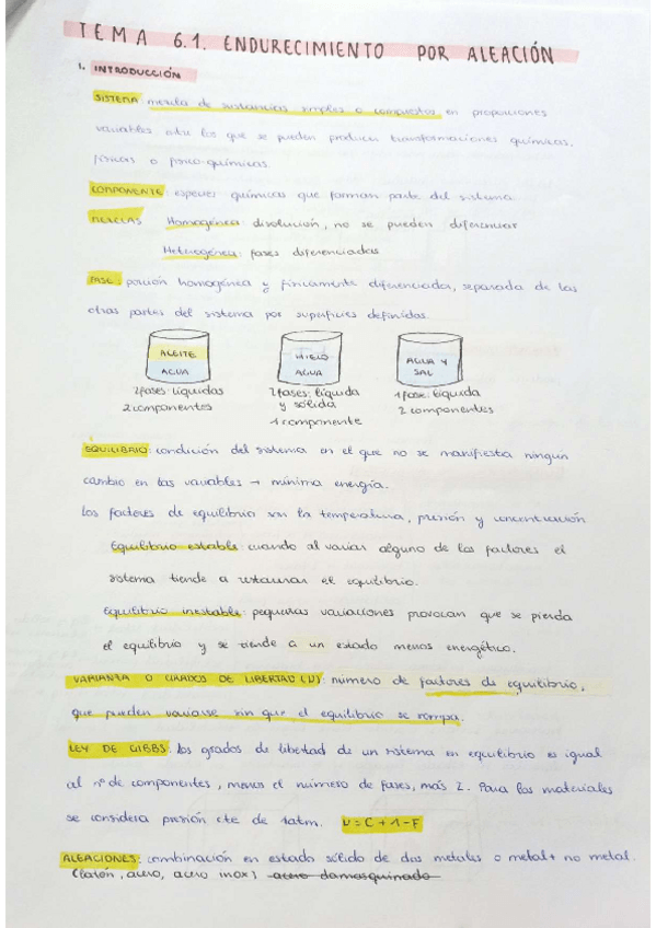 Miniatura del documento RESUMEN-TEMA6.1CIENCIA.pdf