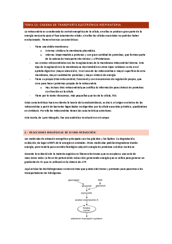 Miniatura del documento TEMA-13.pdf