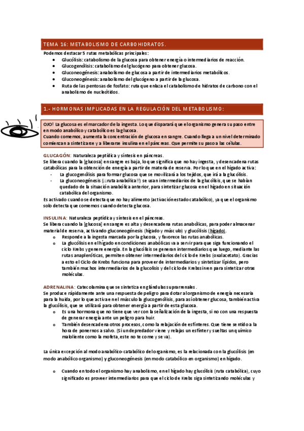 Miniatura del documento TEMA-16.pdf