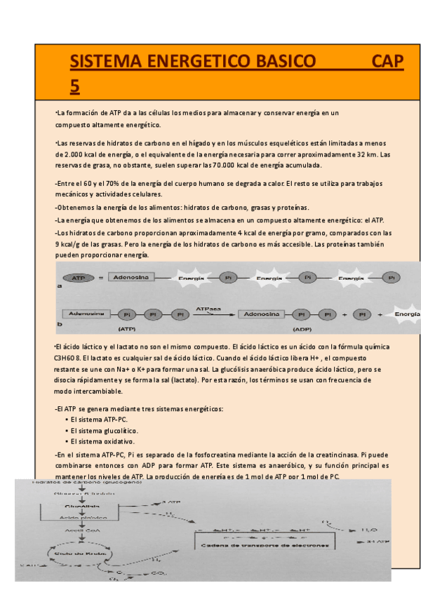 Miniatura del documento Resumenes-y-puntos-claves-del-libro.pdf