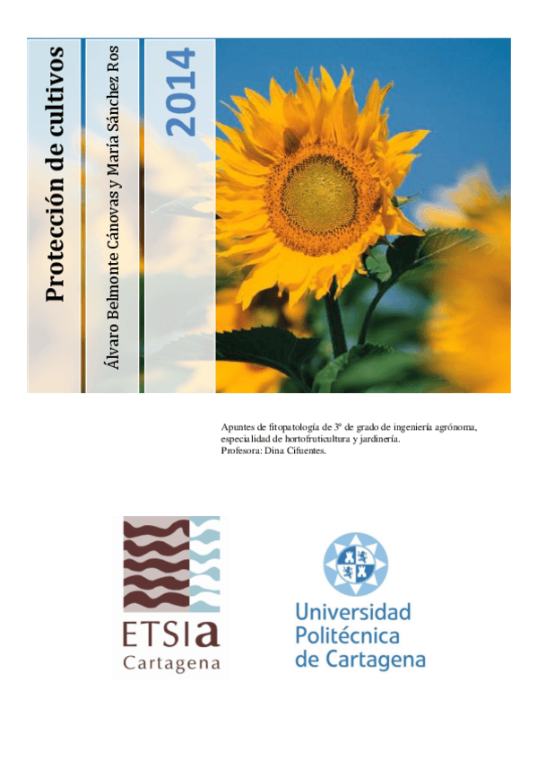 Miniatura del documento Parte-I-Dina-hongos-bacterias-virus-y-nematodos.pdf