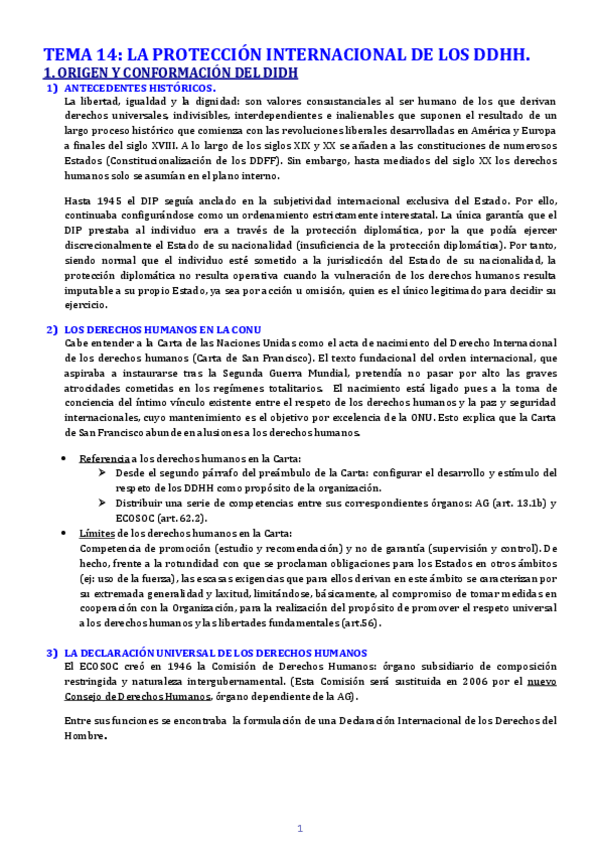 Miniatura del documento TEMA-14-PROTECCION-DDHH.pdf