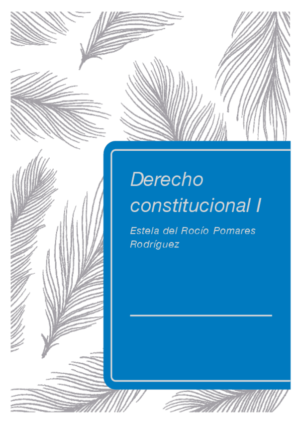 Miniatura del documento Derecho-constitucional.pdf