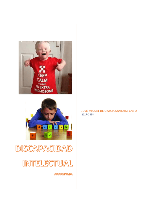 Miniatura del documento DISCAPACIDAD INTELECTUAL.pdf