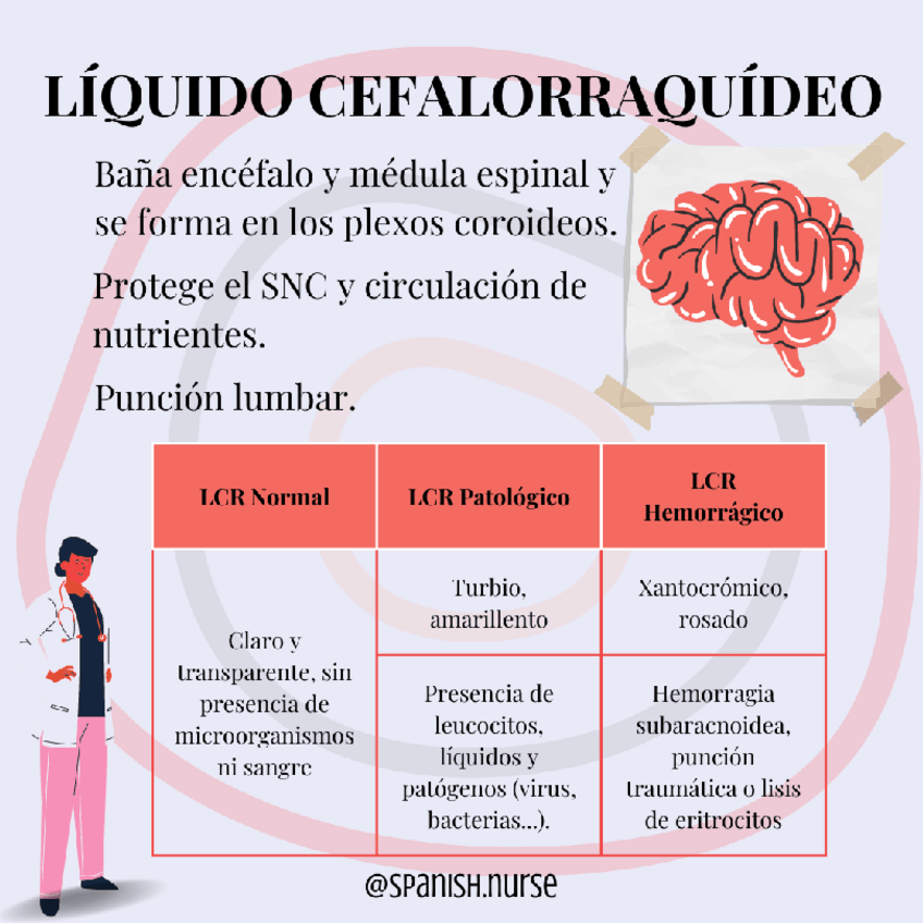 Miniatura del documento Liquido-cefalorraquideo.pdf