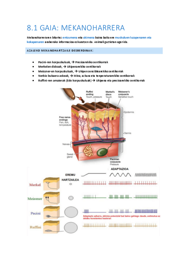 Miniatura del documento 08.1-Mekanoharrera.pdf