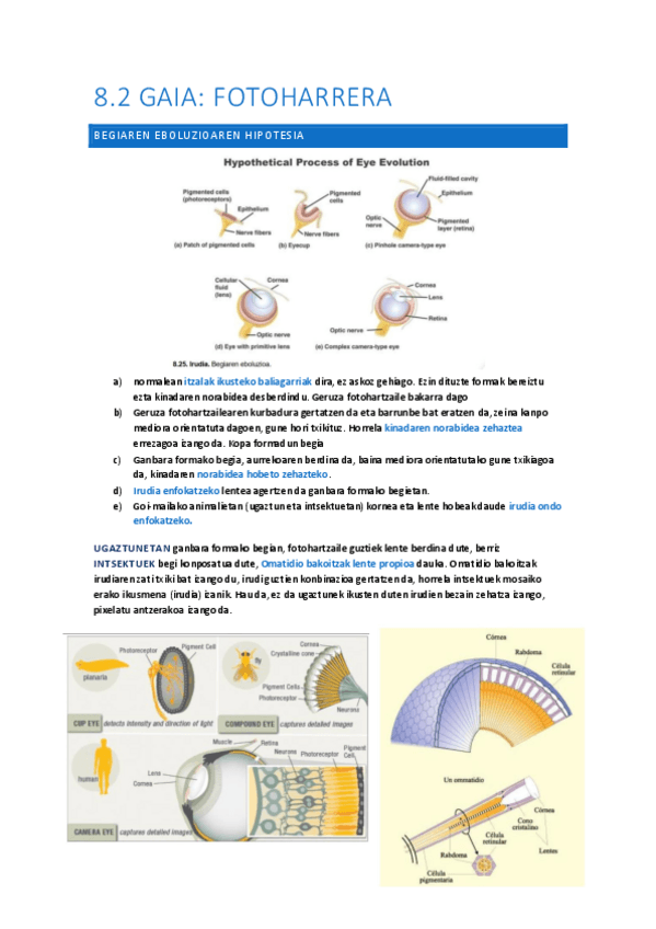 Miniatura del documento 8.2-Fotoharrera.pdf