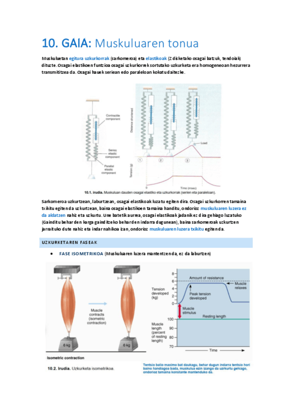 Miniatura del documento 10.-Muskuluen-tonua.pdf