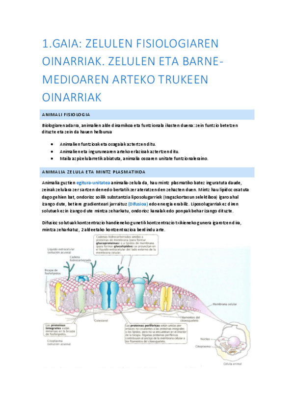 Miniatura del documento Animali-fisiologia-1.-gaia.pdf