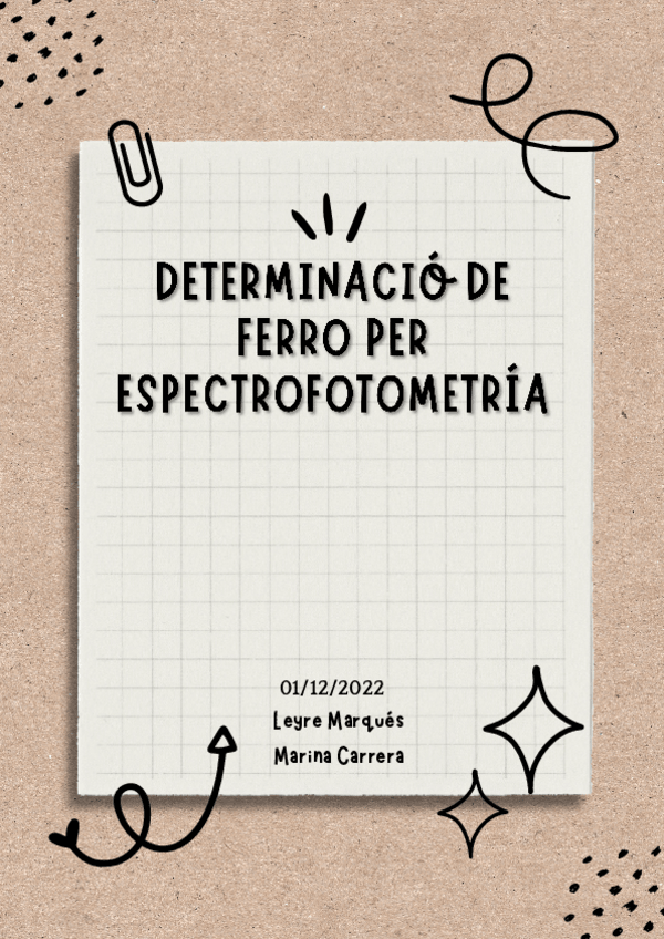 Miniatura del documento Informe-lab-Ferro.pdf