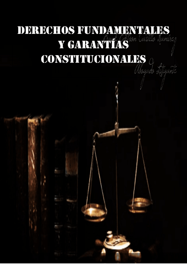 Miniatura del documento derecho fundamentales y garantias constitucionales de Lilian G..pdf