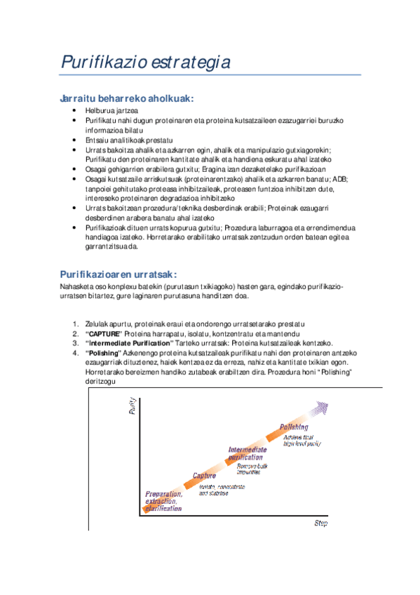 Miniatura del documento Purifikazio-estrategia.pdf