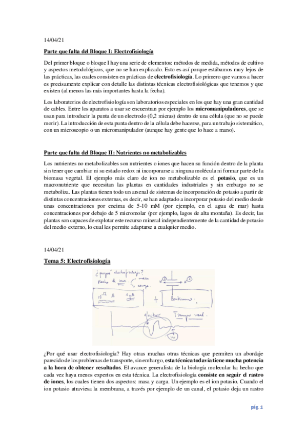 Miniatura del documento Tema-5.-Electrofisiologia-y-nutrientes-no-metabolizables.pdf