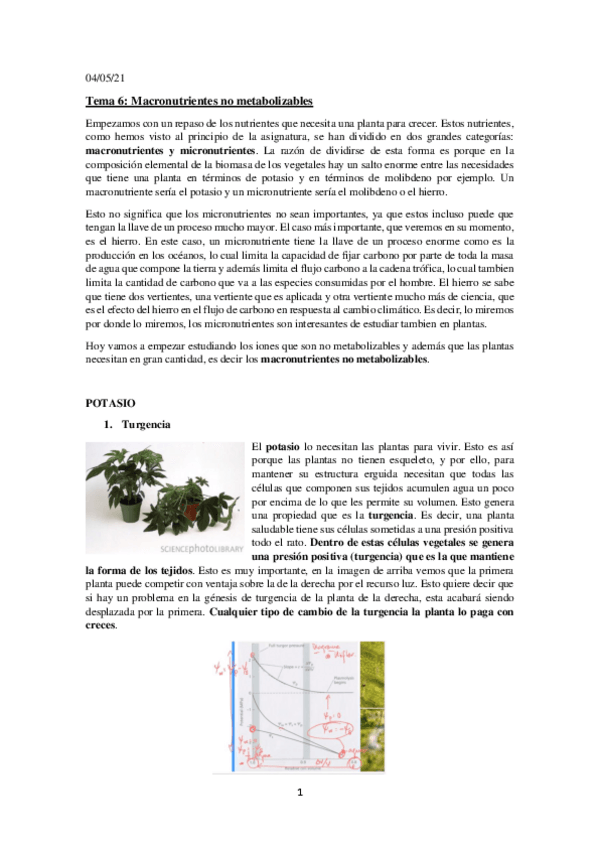Miniatura del documento Tema-6.-Macronutrientes.pdf