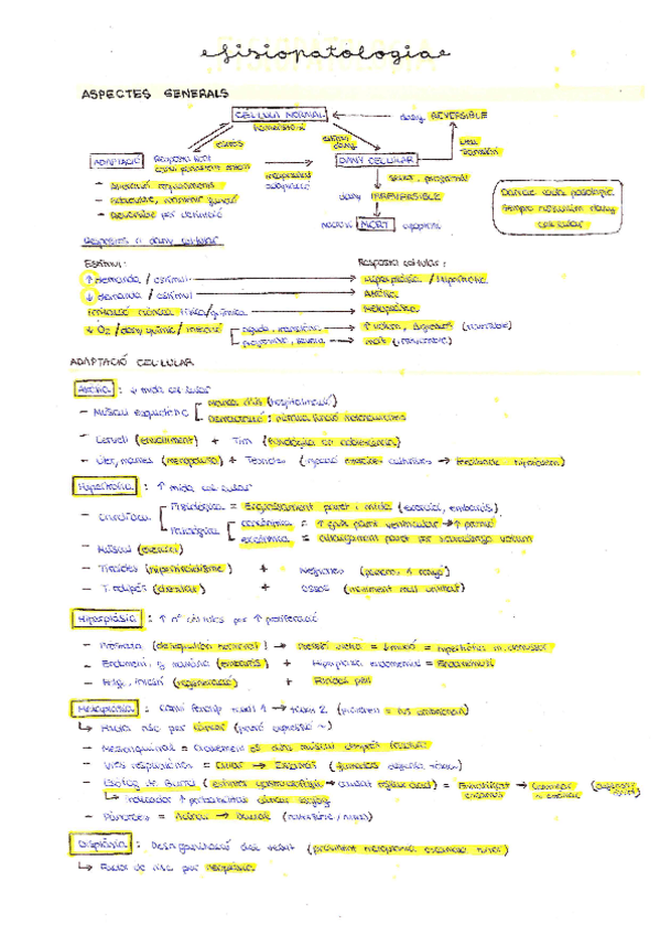 Miniatura del documento FISIOPATOLOGIA-Teoria.pdf