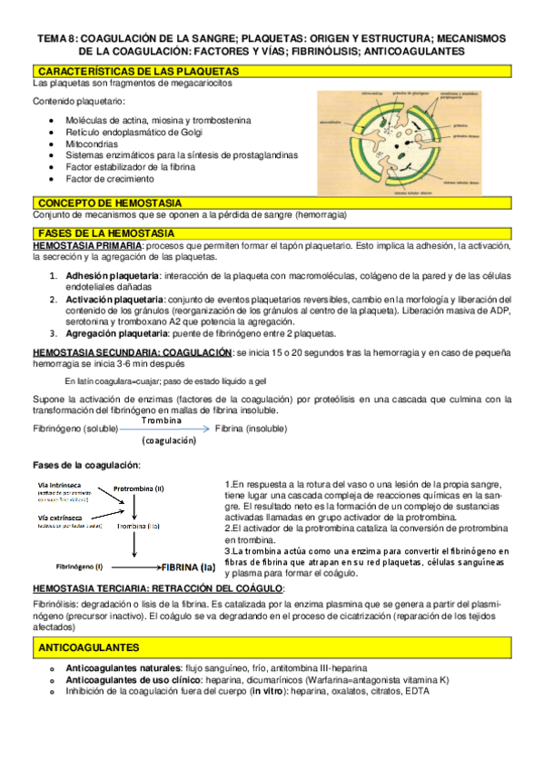 Miniatura del documento TEMA-8-fisiologia.pdf