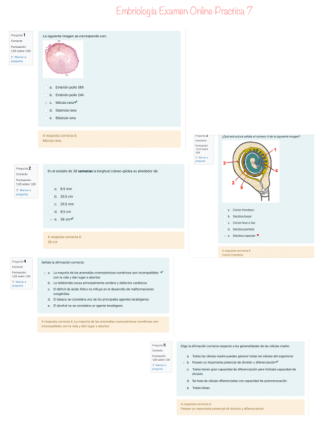 Miniatura del documento Embriologia-Examen-Online-Practica-7.pdf