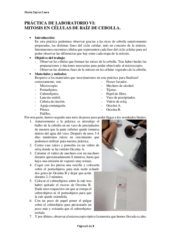 Miniatura del documento PRACTICA-DE-LAB-VI.pdf