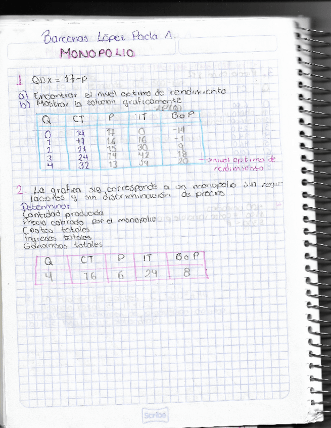 Miniatura del documento monopolio-ejercicio.pdf