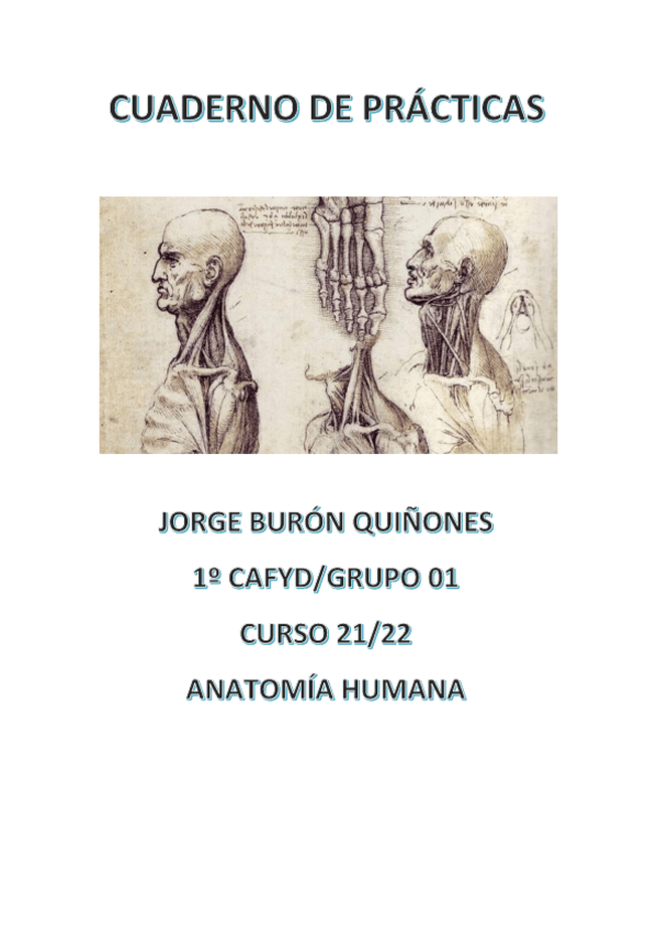 Miniatura del documento LAMINAS-ANATOMIA.pdf