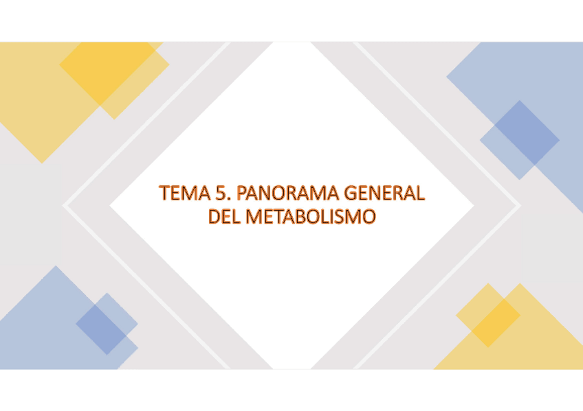 Miniatura del documento BIOQUIMICA-T5-T16.pdf