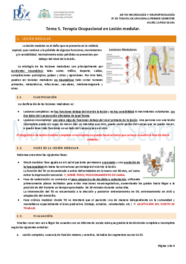 Miniatura del documento Tema-5.-Terapia-Ocupacional-en-lesion-medular.pdf