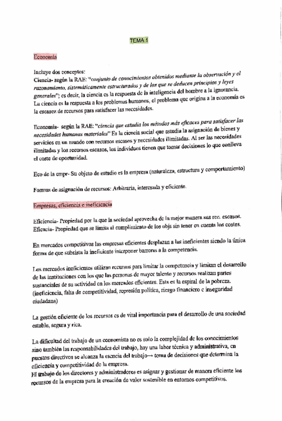 Miniatura del documento Introduccion-los-7-temas-muy-resumido.pdf